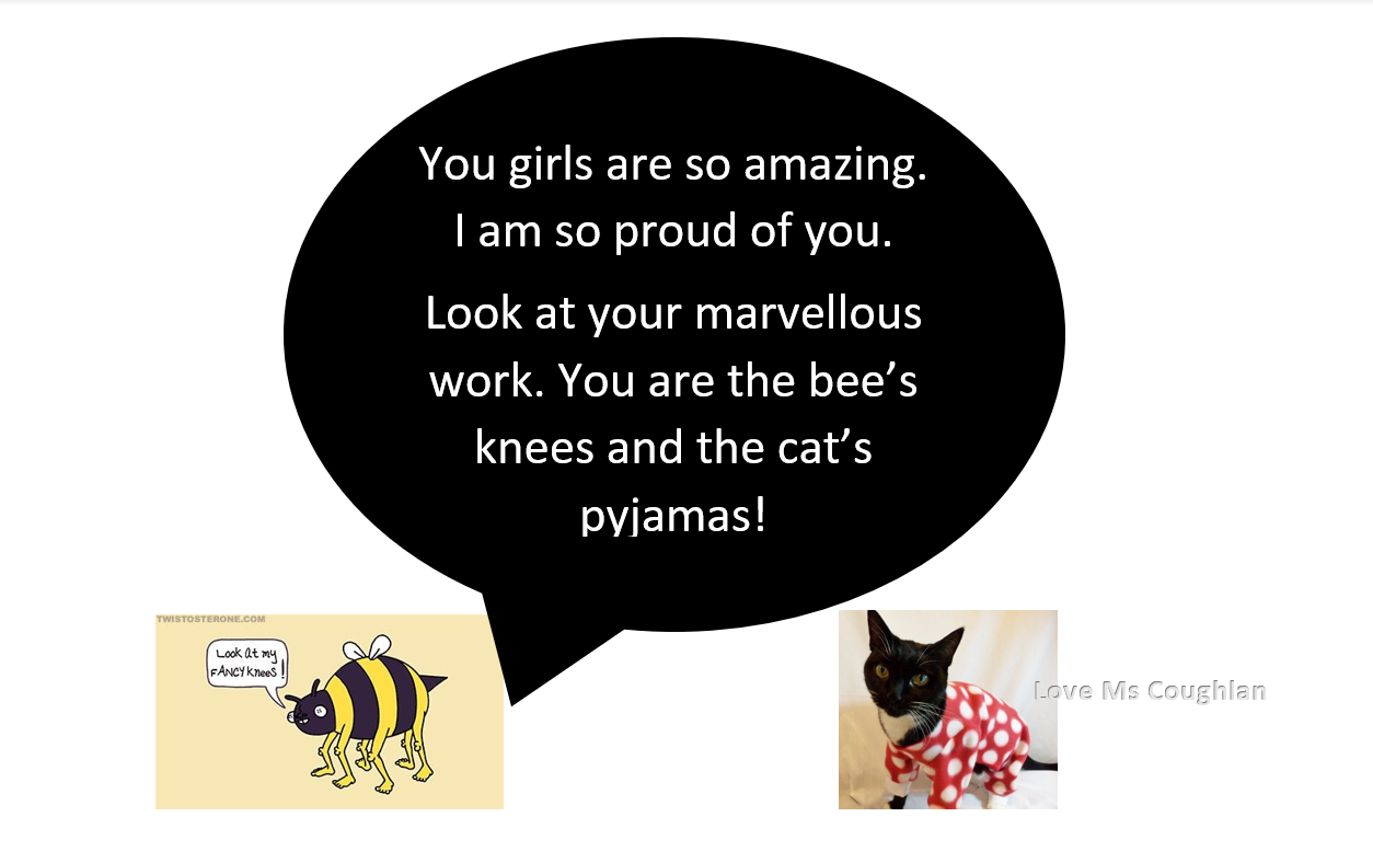 Terrific Times in 3rd Class!