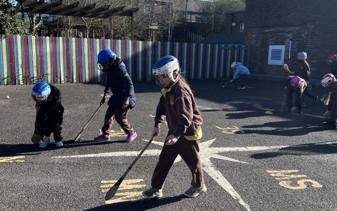 Camogie Lessons with Coach Liz