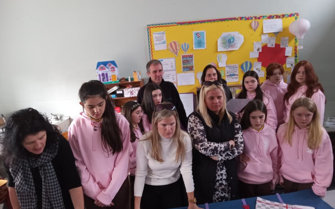 Sixth Class Hoodies and Heritage in Schools Project