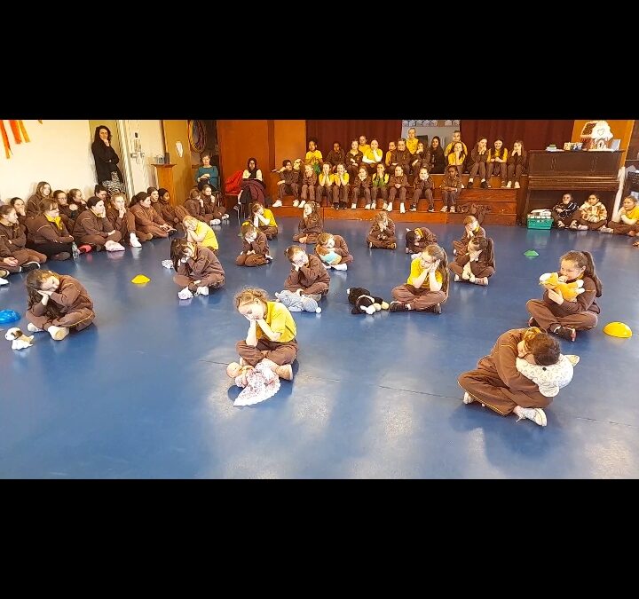 A sneak preview of our Dance for Seó le Pádraig!