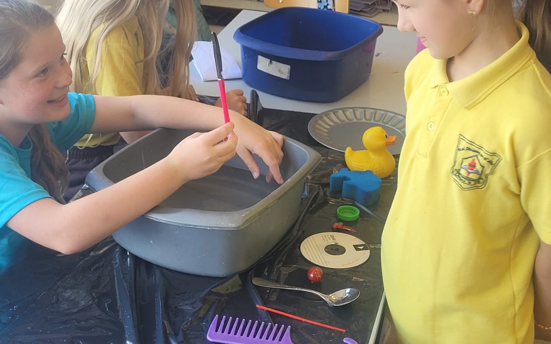 3rd Class Young Scientists
