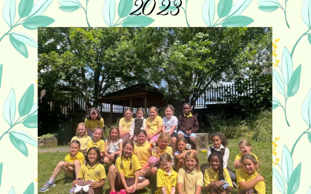 2nd Class 2023-Memories of a wonderful year