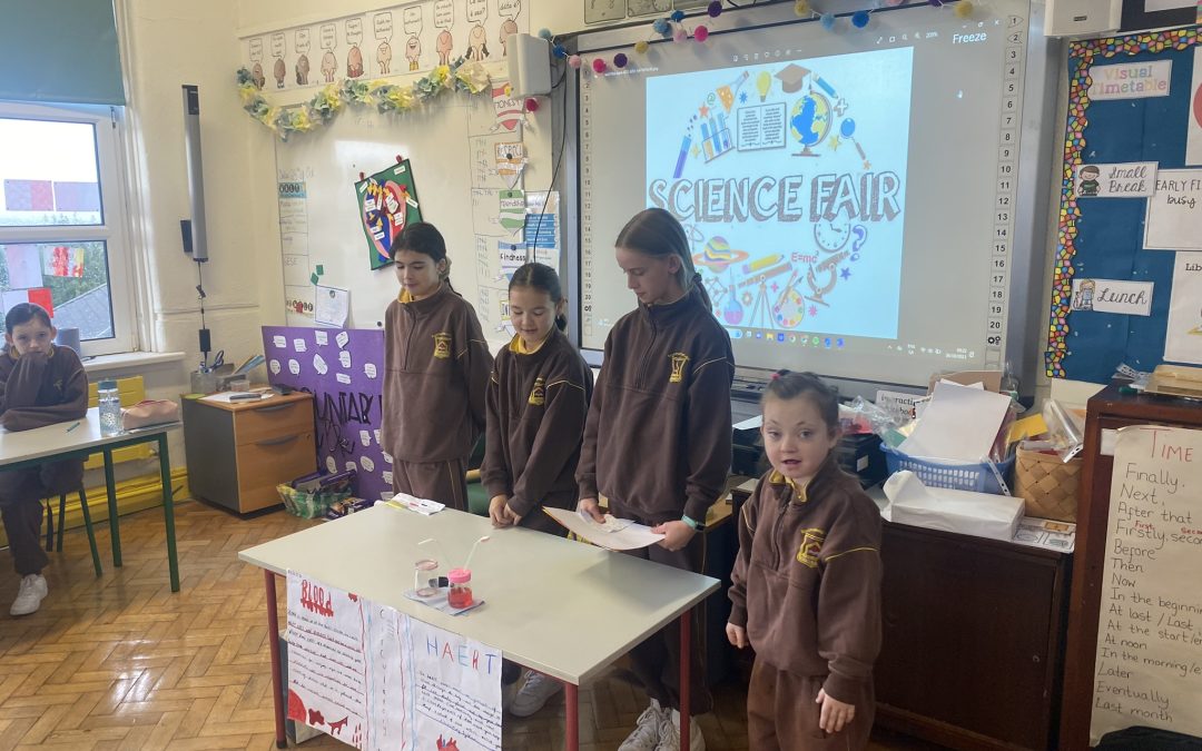 Science Fair