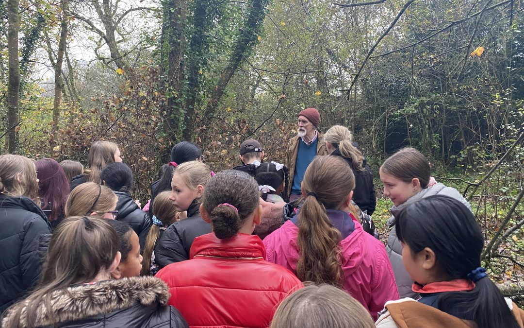 Walking tour with local historian