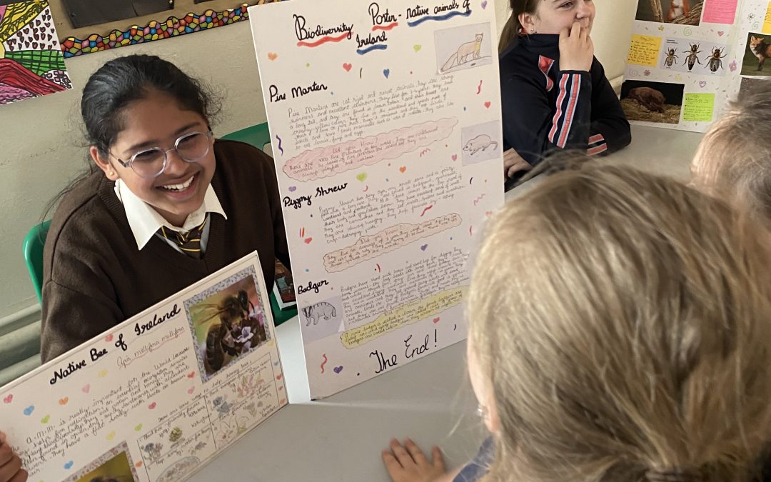Biodiversity projects