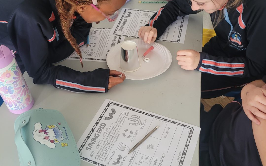 STEM experiment “Saving Fred!” 3rd Class