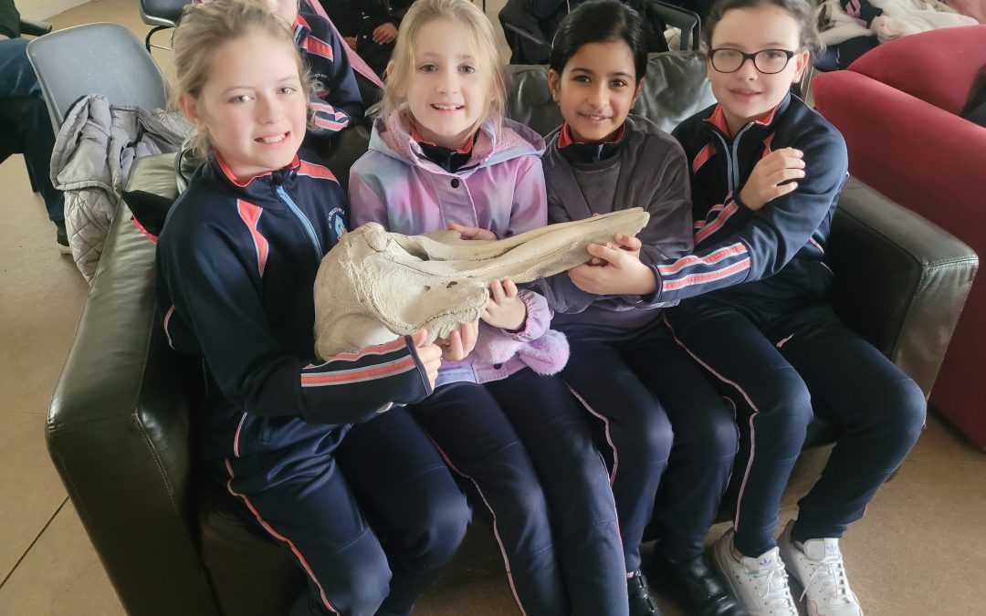 Learning about the Ocean